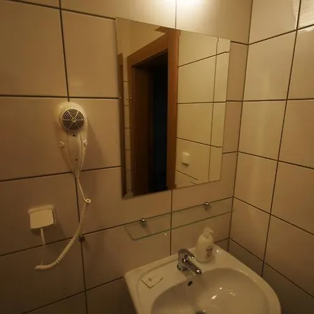 Hotel Pod Zelenym Dubem