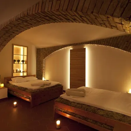Hotel Pod Zelenym Dubem